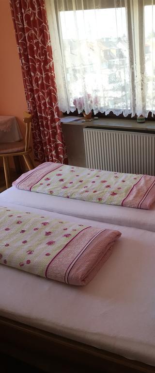 Gasthof Und Pension Mainzer Rad Schwetzingen Luaran gambar